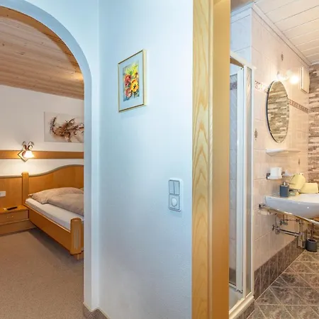 Hintermaisalm Appartement Saalbach-Hinterglemm