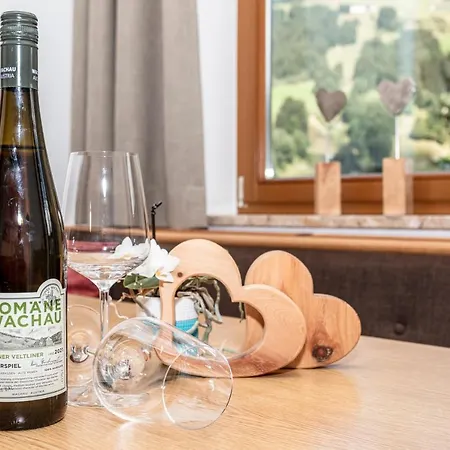 Hintermaisalm Appartement Saalbach-Hinterglemm